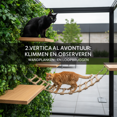 Urban Jungle voor Je Kat: Zo Creëer Je een Modern en Katveilig Buitenparadijs